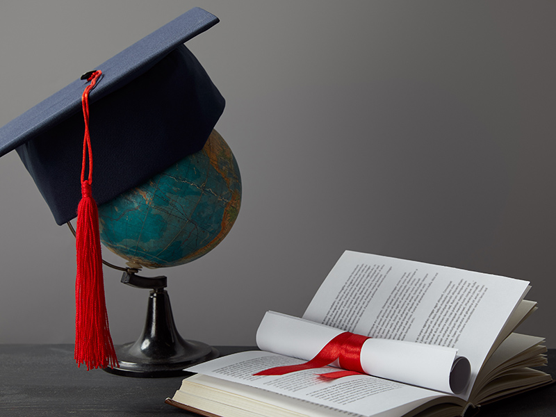 globe, academic cap, diploma and open book on grey background